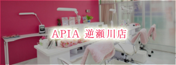 APIA 逆瀬川店